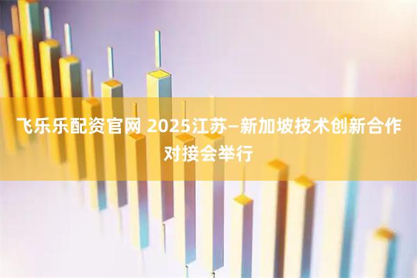 飞乐乐配资官网 2025江苏—新加坡技术创新合作对接会举行