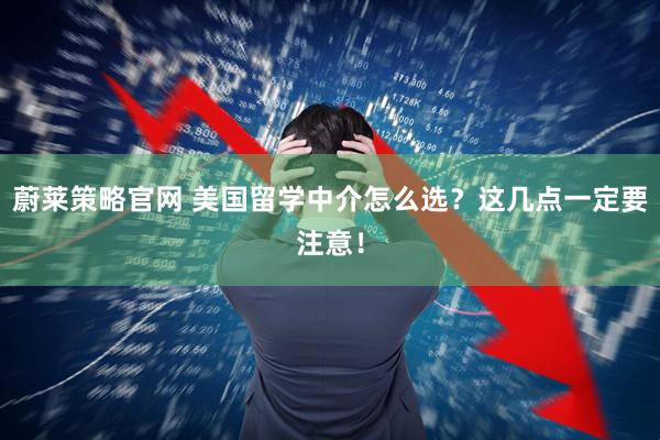 蔚莱策略官网 美国留学中介怎么选？这几点一定要注意！