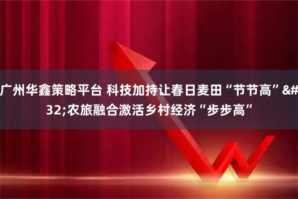 广州华鑫策略平台 科技加持让春日麦田“节节高” 农旅融合激活乡村经济“步步高”