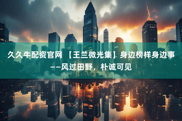 久久牛配资官网 【王兰微光集】身边榜样身边事——风过田野，朴诚可见