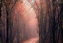 最新股票开户条件:配资吧配资官网-流动性警钟敲响？美联储隔夜逆回购工具用量降至逾4年来最低水平！