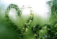 新手股票行情:能加杠杆的炒股软件-浮盈超80亿元！公募豪掷174亿元参与定增