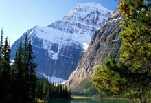 如何选股票入门与技巧:免费股票买卖点软件-全球市场：欧美股市收跌 纳指跌近1% 国际金价续创历史新高